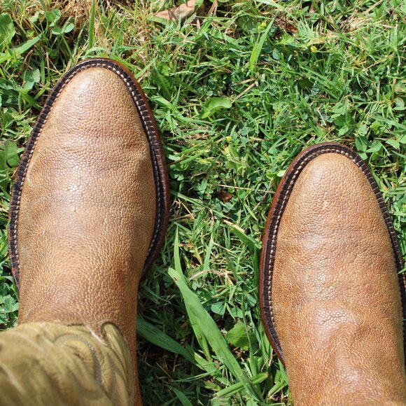 🐘 Tony Lama Tan Elephant Cowboy Boots | Men’s 10.5 D | Black Label - Picture 1 of 10